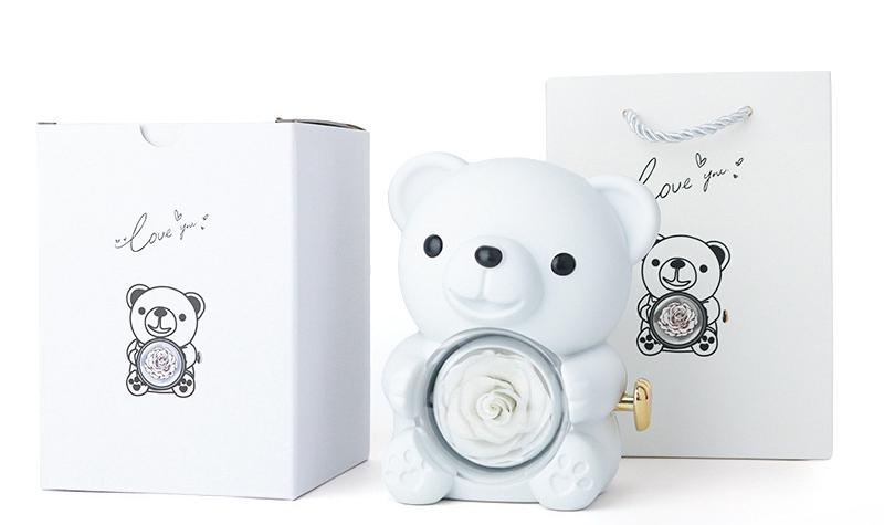 🧸 Rose Teddy Bear Jewelry Box with Necklace