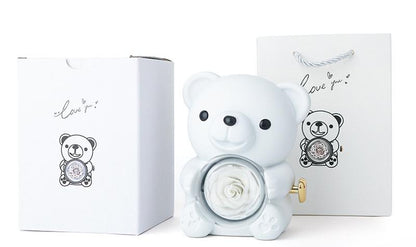 🧸 Rose Teddy Bear Jewelry Box with Necklace